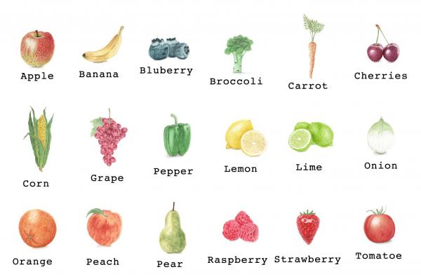 Fruit and Veggies