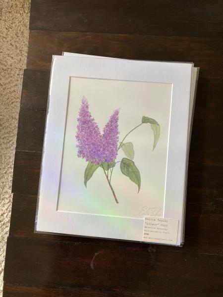 Lilacs picture