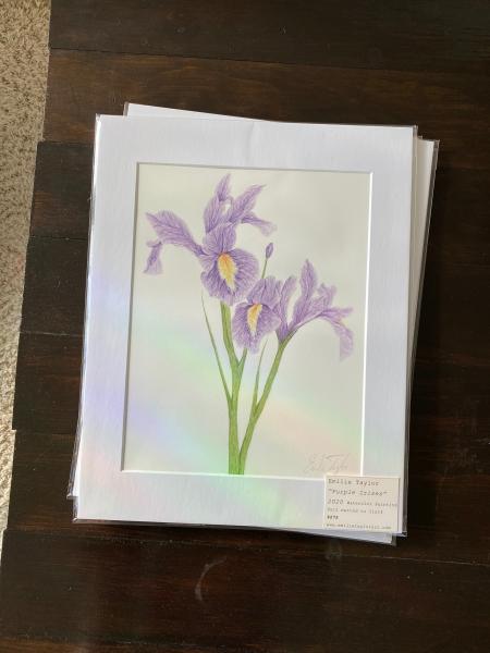 Purple Irises picture