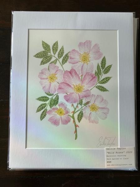 Wild Roses picture