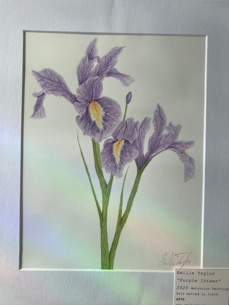Purple Irises picture