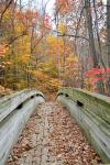 crabtree falls foot bridge