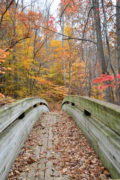 crabtree falls foot bridge