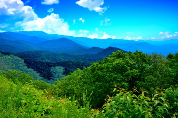 blueridge parkway