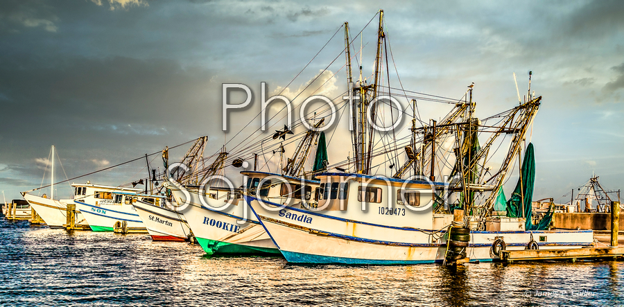 Fishing Fleet picture