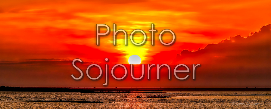 Goose Island Sunrise 3 picture
