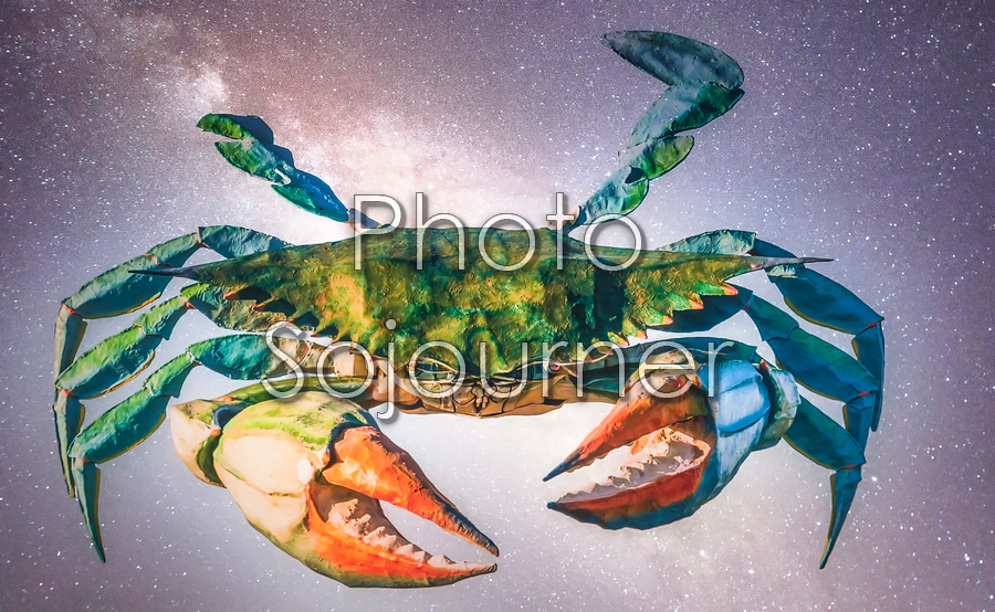 Crab