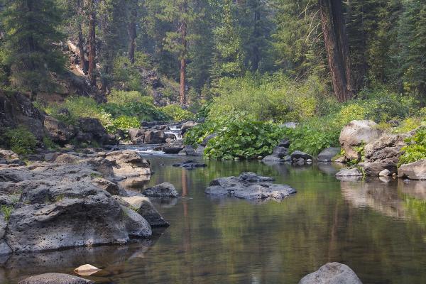 McCloud River picture