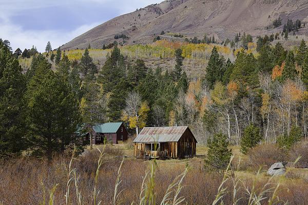 Autumn Cabin