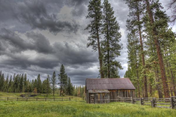 Empty Corral