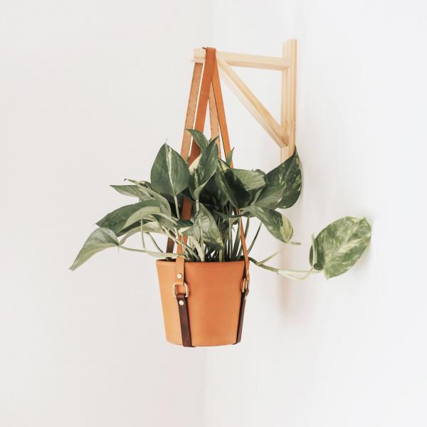 Leather Hanging Planter picture