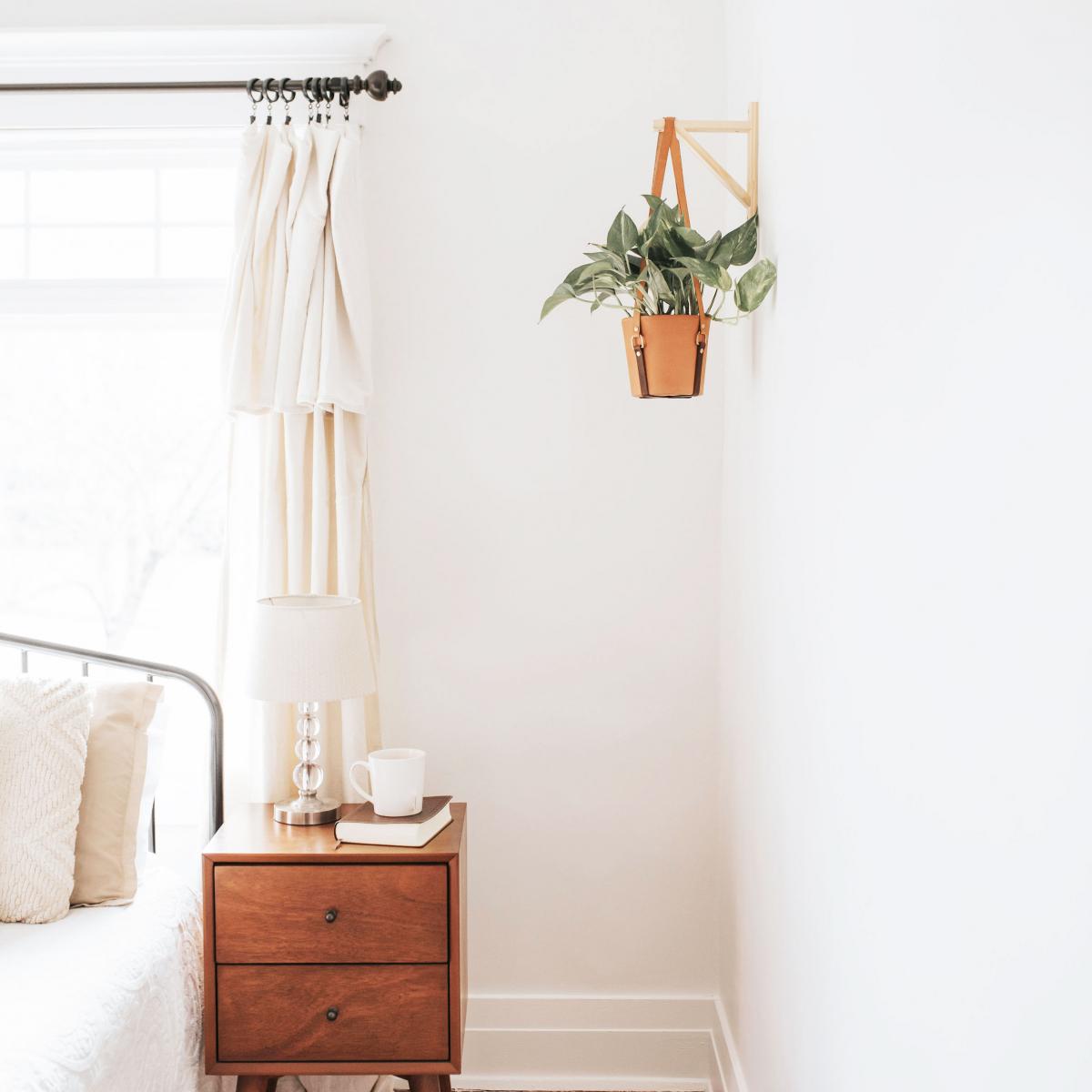 Leather Hanging Planter picture