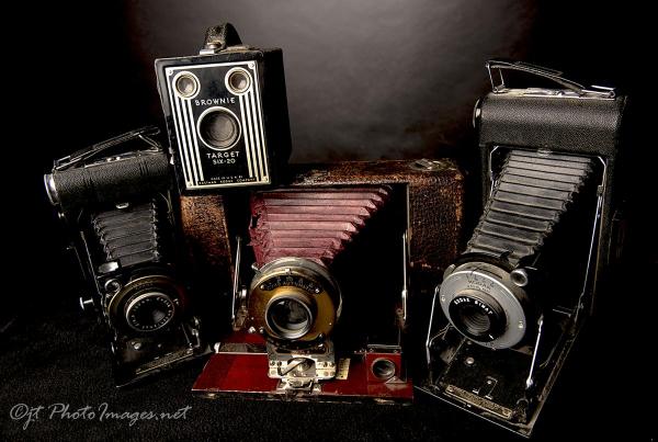 War Horses (Old Cameras) picture