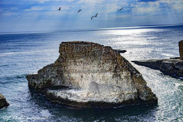 Shark Fin Rock Cove - Davenport California