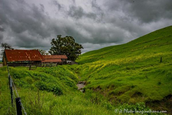 BARN #1 Livermore at Manning & Highland