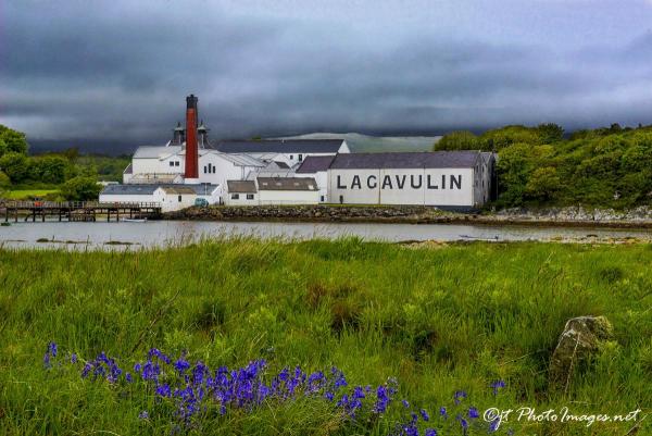 LAGAVULIN Distillery Islay Scotland picture