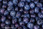 Organic Blueberries