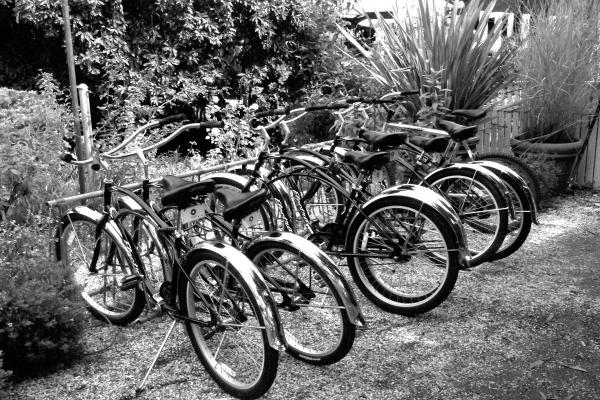 Wine Country BIKE Rack picture