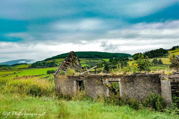 Abandonerd Cottage Rearcross Ireland picture