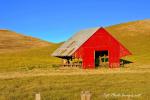 Red Barn Ode to Eyvand - Livermore