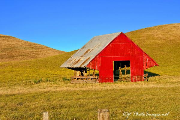 Red Barn Ode to Eyvand - Livermore picture