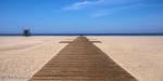 Santa Monica Beach - Bench (panorama)