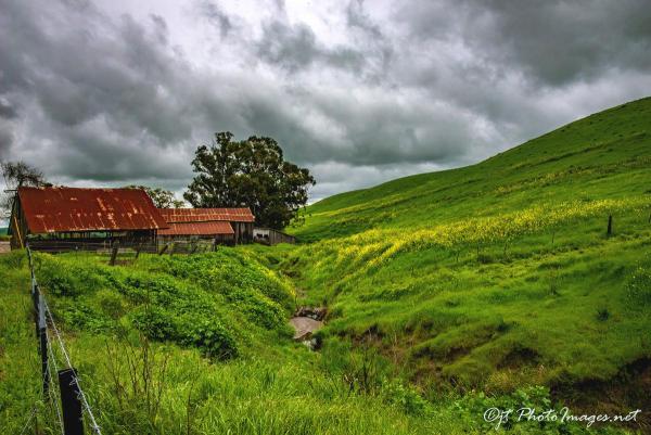 BARN #1 Livermore at Manning & Highland picture