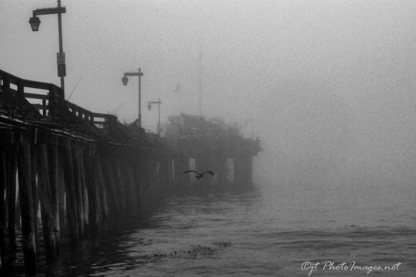 Capitola Pier Right Side picture