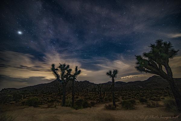 Sunset & Stars Joshua Tree National Park picture