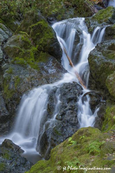 Cataract Falls - Mt. Tam - #1 picture