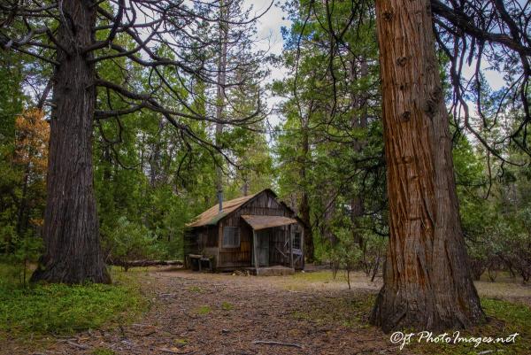 Abandoned Cabin Malakoff Diggins California picture