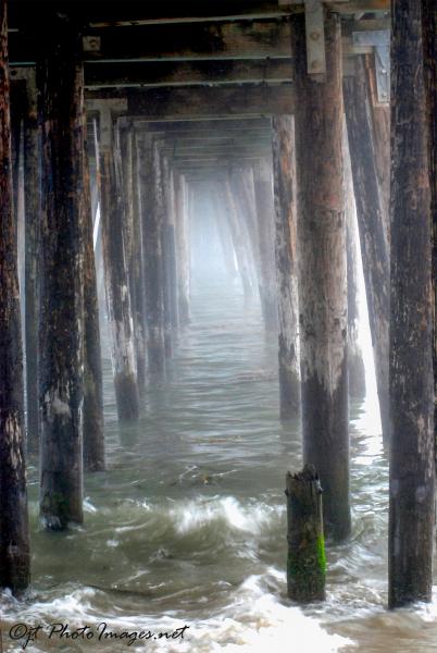 Under Captiola Pier picture