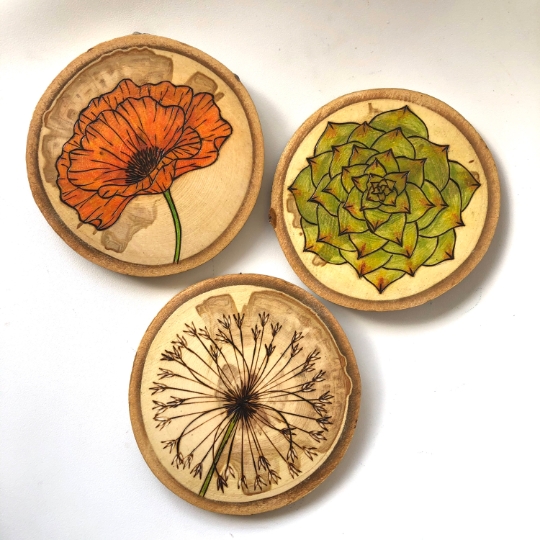 Wood art collection - succulent, dandelion, poppy flower set Active
