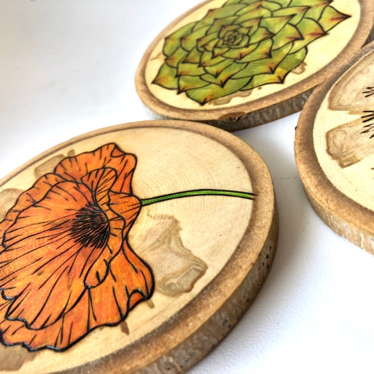 Wood art collection - succulent, dandelion, poppy flower set Active picture