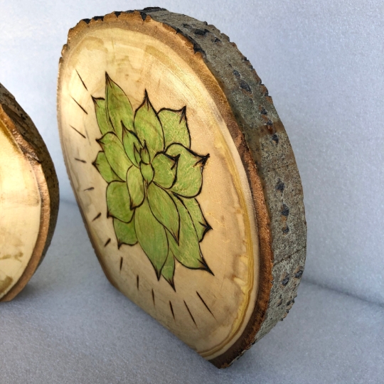 Flower and succulent wood burned art on stand-up tree slices picture