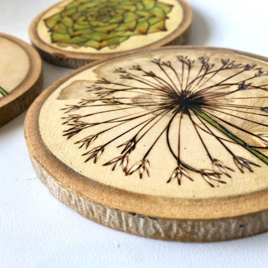 Wood art collection - succulent, dandelion, poppy flower set Active picture