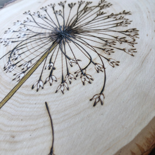 Dandelion wish wood art, wood burned tree slice wall art piece picture