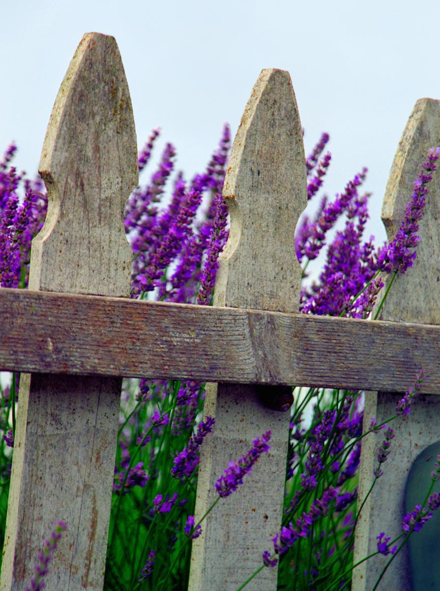 Photo Note Cards picture