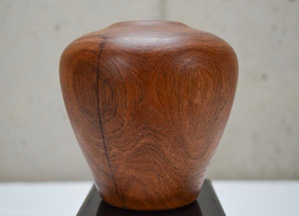 Mesquite Hollow Form (#B-1925) picture