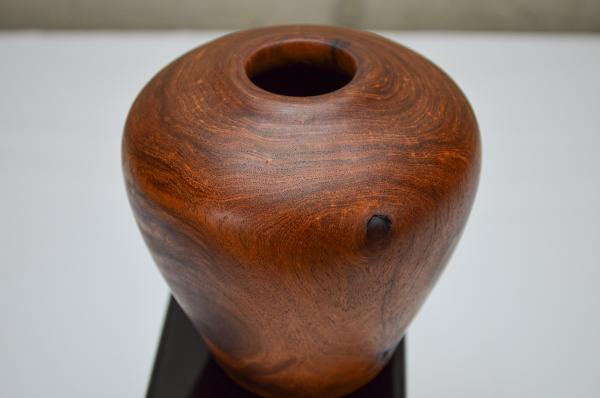 Mesquite Hollow Form (#B-1925) picture