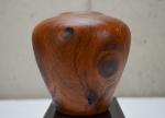 Mesquite Hollow Form (#B-1925)