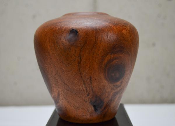 Mesquite Hollow Form (#B-1925) picture