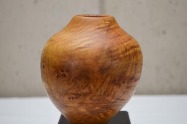 Maple Hollow Form (#B-1917)
