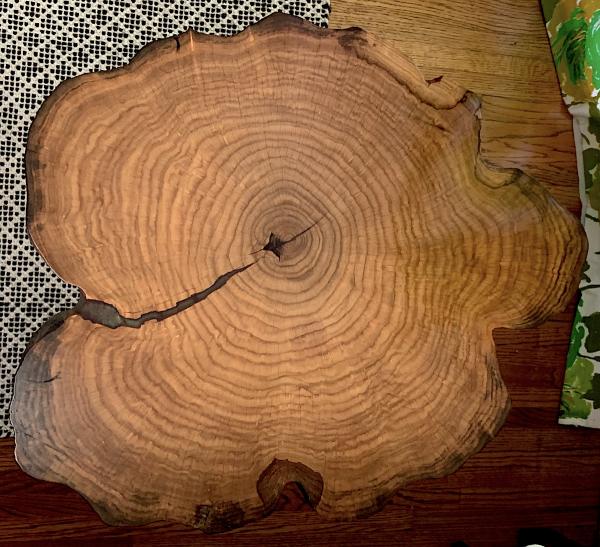 Oak Tree Trunk Slice with Burgundy Epoxy End Table picture
