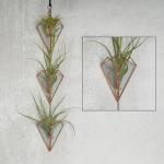 Wall Hanging Triple Stained Glass Air Plant Holder