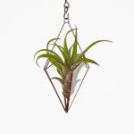 Free-Hanging Stained Glass Air Plant Holder