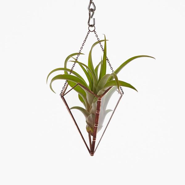 Free-Hanging Stained Glass Air Plant Holder picture