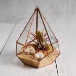 Tiny Teardrop Stained Glass Air Plant Holder