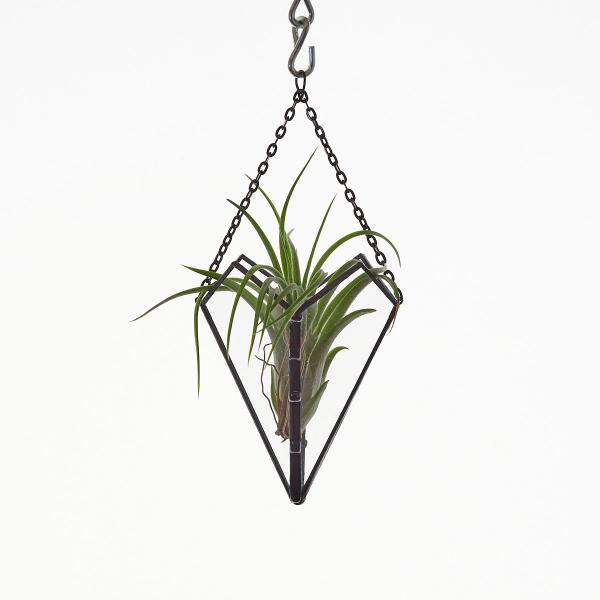 Free-Hanging Stained Glass Air Plant Holder picture