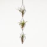 Hanging Triple Stained Glass Air Plant Holder